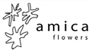 amica flowers